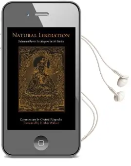 Natural Liberation: Padmasambhava'S Teachings on the six Bardos Audiobook download free by Gyatrul Rinpoche