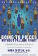Audiobook Going to Pieces Without Falling Apart: Buddhist Perspective on Wholeness author Mark (Mark William) Epstein