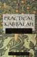Audiobook Practical Kabbalah author Rabbi Laibl Wolf