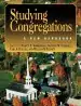 Audiobook Studying Congregations: A new Handbook author Nancy Tatom Ammerman