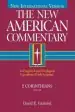 Audiobook New American Commentary: 2 Corinthians vol 29 author David E. Garland