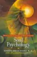 Audiobook Soul Psychology author Joshua David Stone