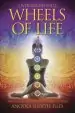 Audiobook Wheels of Life: User'S Guide to the Chakra System author Anodea Judith