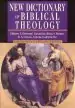Audiobook New Dictionary of Biblical Theology author T. Desmond Alexander