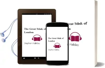 The Great Stink of London Audiobook download free by Stephen Halliday