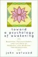 Audiobook Toward a Psychology of Awakening author John Welwood