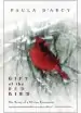 Audiobook Gift of the red Bird: The Story of a Divine Encounter author Paula D'Arcy