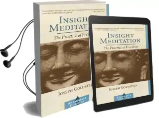 Insight Meditation Audiobook download free by Joseph Goldstein