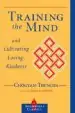 Audiobook Training Mind/Cultivating Love author Trungpa Tulku Chogyam Trungpa