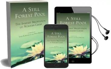 A Still Forest Pool: The Insight Meditation of Achaan Chah Audiobook download free by Jack Kornfield