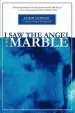 Audiobook I saw the Angel in the Marble author Ellyn Davis