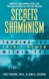 Audiobook Secrets of Shamanism: Trapping the Spirit Power Within you author Jose Stevens