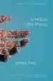 Audiobook A Million Little Pieces author James Frey