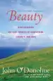 Audiobook Beauty: The Invisible Embrace author John O'Donohue