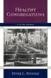 Audiobook Healthy Congregations: A Systems Approach author Peter L. Steinke