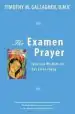 Audiobook The Examen Prayer: Ignatian Wisdom for our Livestoday author Timothy M. Gallagher