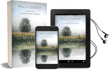 The Meaning is in the Waiting: The Spirit of Advent Audiobook download free by Paula Gooder