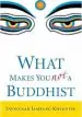 Audiobook What Makes you not a Buddhist author Dzongsar Jamyang Khyentse