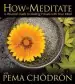 Audiobook How to Meditate With Pema Chodron: A Practical Guide to Making Friends With Your Mind author Pema Chodron