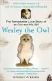 Audiobook Wesley the owl: The Remarkable Love Story of an owl and his Girl author Stacey O'Brien