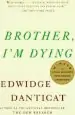Audiobook Brother, i'm Dying author Edwidge Danticat