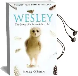 Wesley: The Story of a Remarkable owl Audiobook download free by Stacey O'Brien
