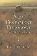 Audiobook New Testament Theology: An Introduction author James D. G. Dunn