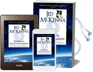 Spiritual Enlightenment: The Damnedest Thing Audiobook download free by Jed Mckenna