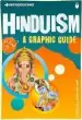 Audiobook Introducing Hinduism: A Graphic Guide author Vinay Lal