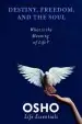 Audiobook Destiny, Freedom, and the Soul: What is the Meaning of Life? author Osho