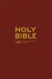 Audiobook Niv Popular Burgundy Hardback Bible author New International Version