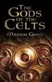 Audiobook The Gods of the Celts author Miranda Green