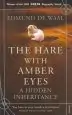 Audiobook The Hare With Amber Eyes: A Hidden Inheritance author Edmund De Waal