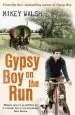 Audiobook Gypsy boy on the run author Mikey Walsh