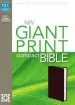 Audiobook Niv, Giant Print Compact Bible, Leather-Look, Burgundy author Zondervan Publishing