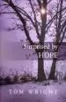 Audiobook Surprised by Hope author Tom Wright