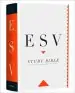 Audiobook Study Bible: English Standard Version (Esv) Personal Size Edition author Collins Anglicised Esv Bibles