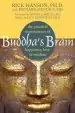 Audiobook Buddha'S Brain: The Practical Neuroscience of Happiness, Love, and Wisdom author Rick Hanson