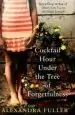 Audiobook Cocktail Hour Under the Tree of Forgetfulness author Alexandra Fuller