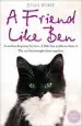 Audiobook A Friend Like ben: The True Story of the Little Black and White cat That Saved my son author Julia Romp