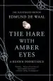 Audiobook The Hare With Amber Eyes (Illustrated Edition): A Hidden Inheritance author Edmund De Waal