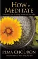 Audiobook How to Meditate: A Practical Guide to Making Friends With Your Mind author Pema Chodron