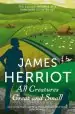 Audiobook All Creatures Great and Small: The Classic Memoirs of a Yorkshire Country vet author James Herriot