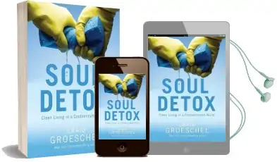 Soul Detox: Clean Living in a Contaminated World Audiobook download free by Craig Groeschel
