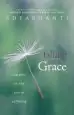 Audiobook Falling Into Grace: Insights on the end of Suffering author Adyashanti