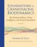Audiobook Foundations in Craniosacral Biodynamics, Volume two author Franklyn Sills