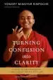 Audiobook Turning Confusion Into Clarity author Yongey Mingyur