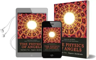 Physics of Angels: Exploring the Realm Where Science and Spirit Meet Audiobook download free by M. Fox