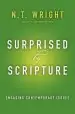 Audiobook Surprised by Scripture: Engaging Contemporary Issues author N. T. Wright
