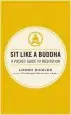 Audiobook Sit Like a Buddha author Lodro Rinzler